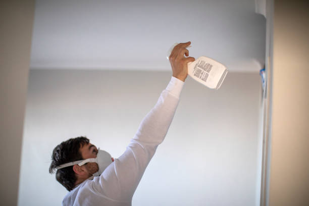 Best Health and Safety Mold Remediation in Maroa, IL
