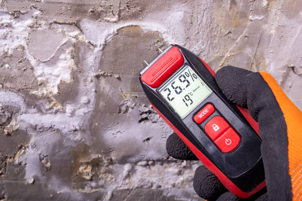 Best Post-Flood Mold Remediation in Maroa, IL