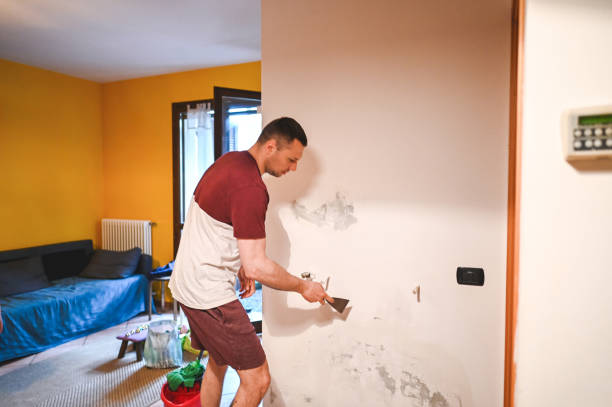 Best Mold Remediation for Schools in Maroa, IL